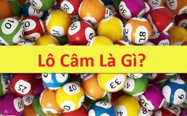 lo cam la gi (1)