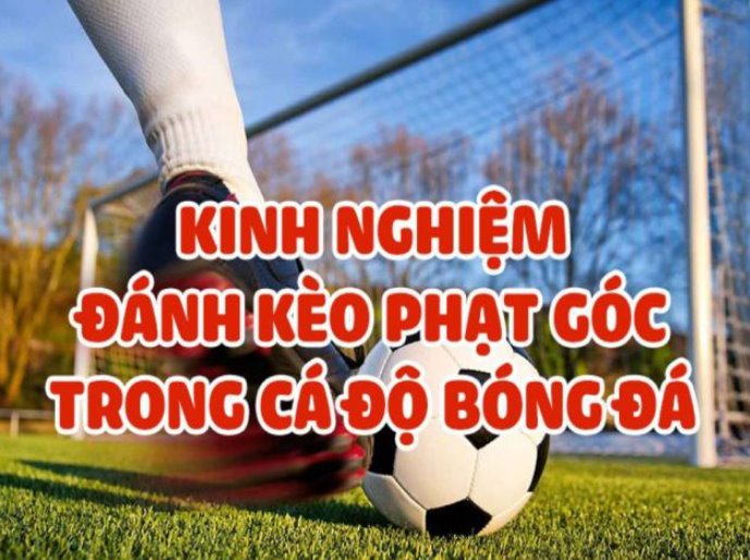 Kinh nghiệm đánh tài xỉu góc trong cá độ bong đá