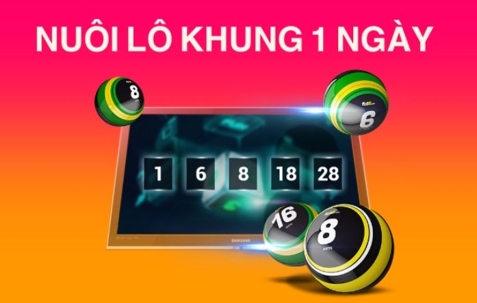 Tìm hiểu lô khung 1 ngày là gì?